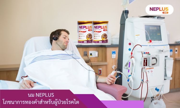 Neplus One - นมเสริมโภชนาการสำหรับผู้ป่วยโรคไต