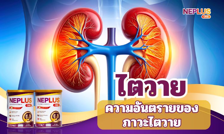 ไตวายคืออะไร? อันตรายของโรคไตวายส่งผลอย่างไร?