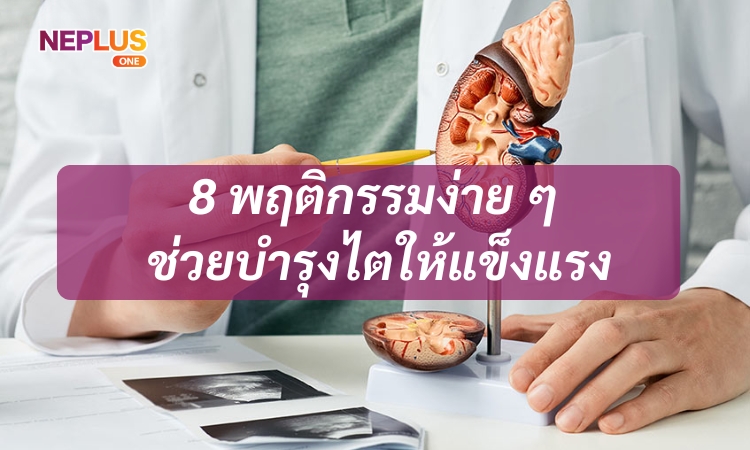 8 พฤติกรรมง่าย ๆ ช่วยบำรุงไตให้แข็งแรงและทำงานได้อย่างมีประสิทธิภาพในทุกวัน