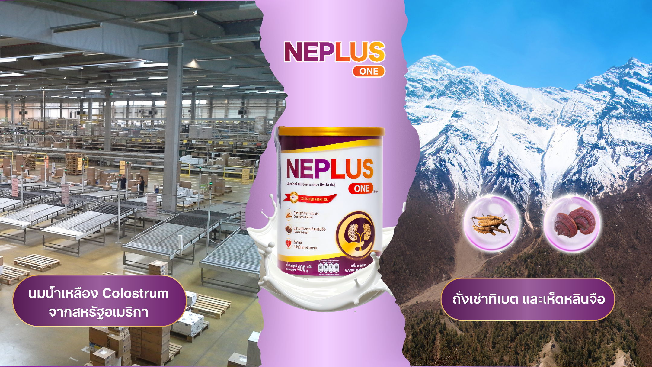 คอลอสตรุม (Colostrum) ที่มีแหล่งที่มาจากสหรัฐอเมริกา